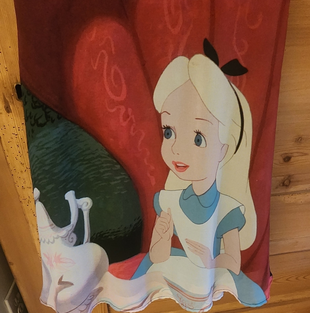 Disney Alice In Wonderland Dress - Picture 3 of 5